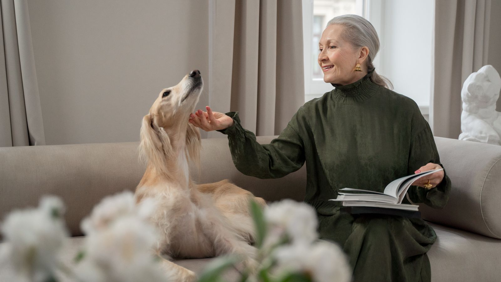 Senior dog resting with its owner